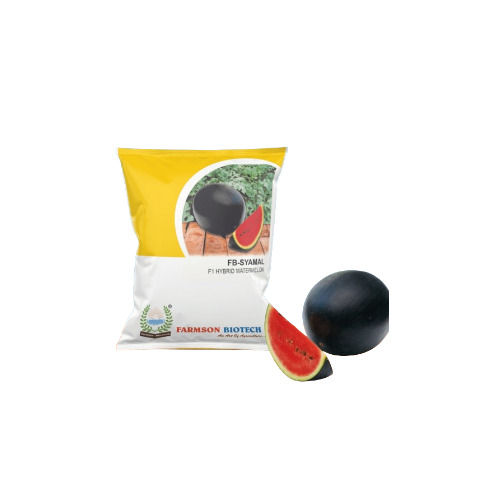 FB-SHYAMAL F1 Hybrid Watermelon Seeds