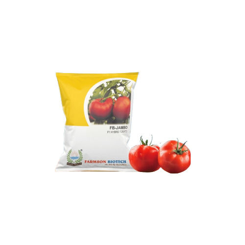 Fb-Jambo F1 Big Hybrid Tomato Seeds