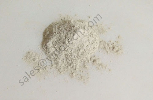 Mixed Mold inhibitor Calcium Supplement Preventive Feed Grade Calcium Propionate 98% CAS No 4075-81-4 For Poultry Broiler Chicken