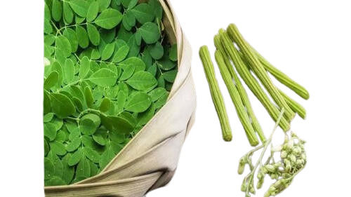 High Quality Moringa Leaves