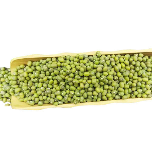 Organic Myanmar Green Mung Bean