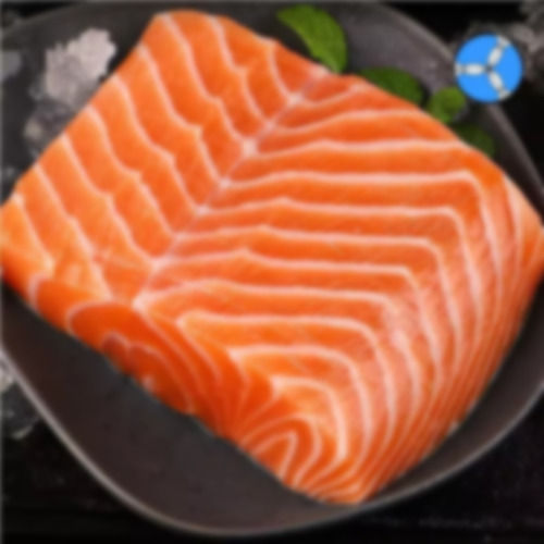 Frozen Salmon Fish