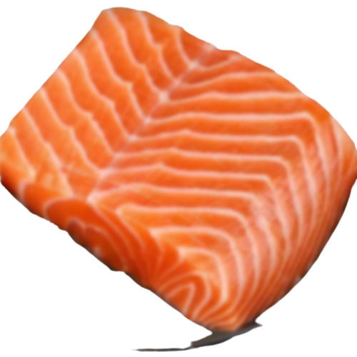 Salmon Fish / Frozen salmon fillet / Salmon Fish Head