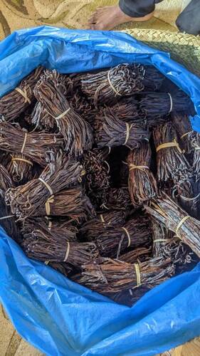 Extract Grade B Vanilla Beans With Moisture Content Of 20% To 25% at ...