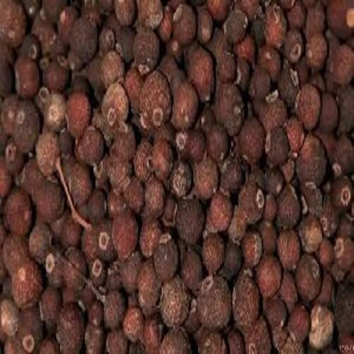 Allspice Seeds Purity 100% Packaging Type Packet