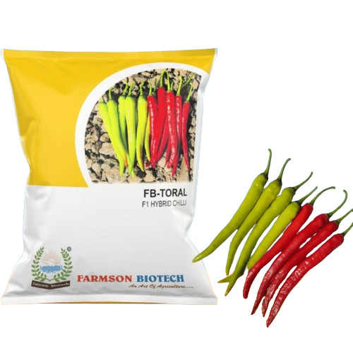 -Toral F1 Hybrid Chili Seeds - 10 gm Packet, Large Erect Plants, Shiny Yellowish Green to Red Fruit, Semi Wrinkle 14-16 cm Length, 1.5-1.7 cm Diameter, High Yielding, Intermediate Resistance to Bacterial Wilt and CMV, HR to Viral Complex