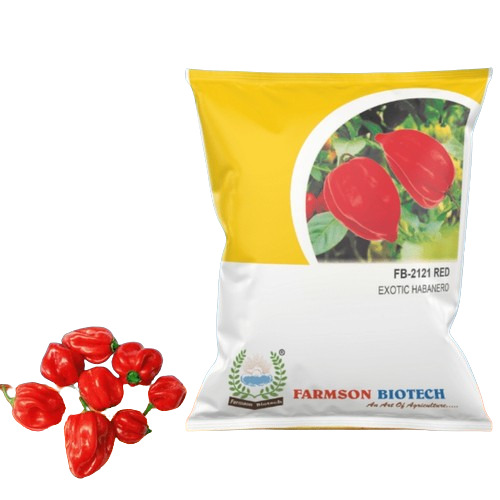 Red Habanero Chilli Seeds - 10 Gram Organic Hybrid High Pungency 200000-425000 SHU Green to Red Fruit Color with Rippled Lantern Shape
