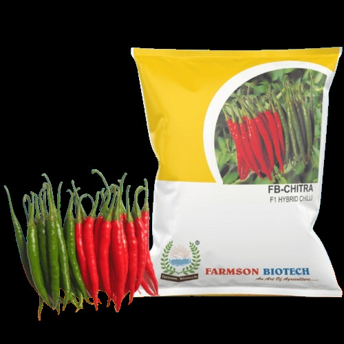 -Chitra F1 Hybrid Chilli Seeds (Dual Purpose) - 10 Grams Red & Green Color High Purity 99% Compact Growth Intermediate Resistance to LCV & CVMV