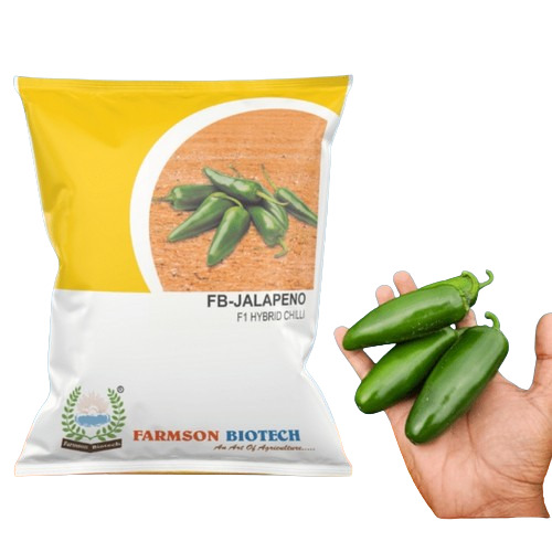 -Jalapeno F1 Hybrid Chilli Seeds - 10 gm Packet Dark Green Medium Pungent Fruits Thick Skin 5000-15000 SHU