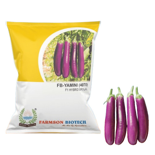 Farmson Biotech - 10g F1 Hybrid Brinjal Seeds | Pink Medium Long Fruits High Disease Resistance 99.5% Purity
