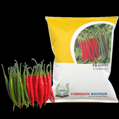 FB-CHITRA F1 HYBRID CHILLI SEEDS (DUAL PURPOSE) 10 GRAM PACK