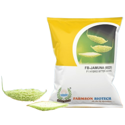 -JAMUNA (6525) F1 HYBRID WHITE BITTER GOURD SEEDS (SHORT) 25 GRAM PACK