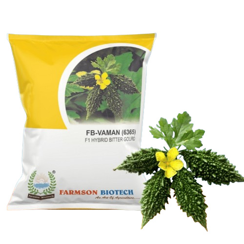 -Vaman (6365) F1 Hybrid Bitter Gourd Seeds - 25 Gram Packet, Dark Green Color, Gynoecious Type, High Yield with Prolific Bearing