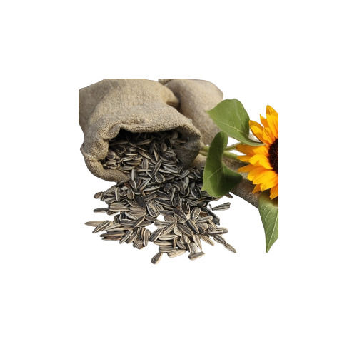 Natural Dried Sunflower Seeds