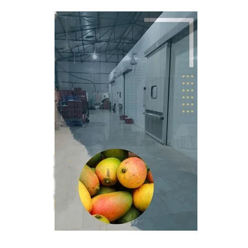 Automatic Mango Ripening Chamber