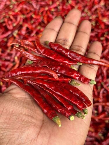 Strong Flavor Spicy Teja S17 Dry Red Chilli