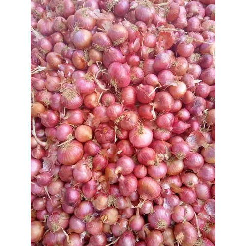 100% Organic And Farm Fresh Natural Onion