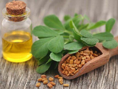 Pure Fenugreek Essential Oil