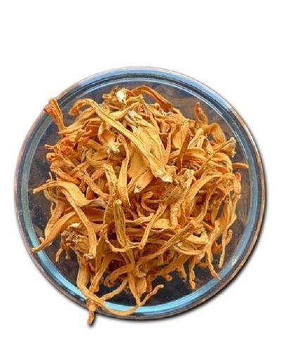 Fresh Quality Cordyceps Militaris Dried Fruit Bodies