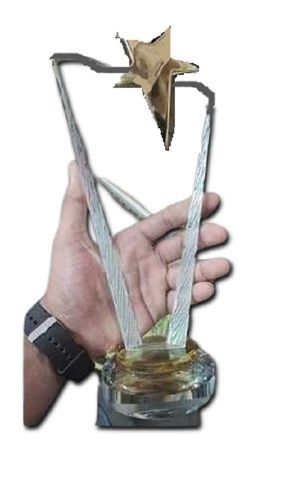 Customized Print Winner Crystal Trophies