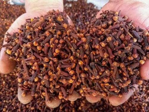 red indonesia cloves