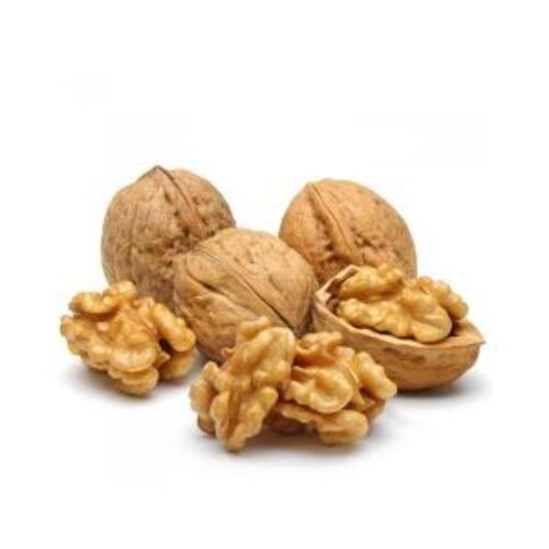 Walnut Feature High In Protein