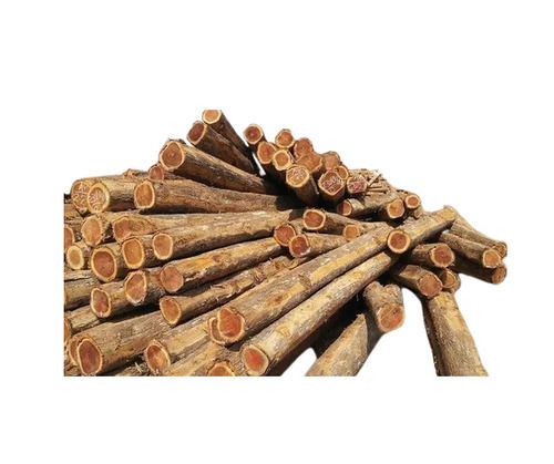 Teak Wood Logs - High Strength Teak Core Material, First Class Quality, Termite and Climate Resistant, Eco-Friendly, Ideal for Indoor and Outdoor Furniture