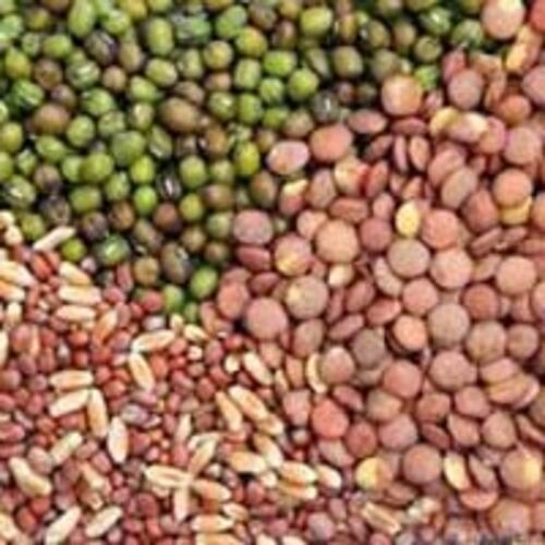 Vegetable Seeds - Admixture (%): 12