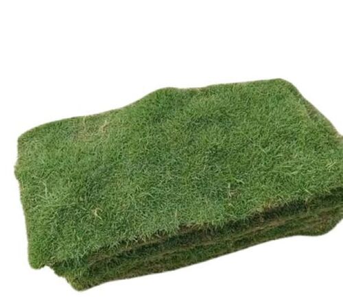 Decorative Grass Carpets - Advantage: Quick Drying