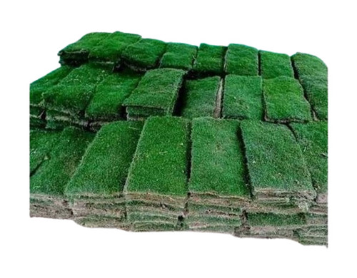 Grass Floor Carpet - Advantage: Oil-Proof