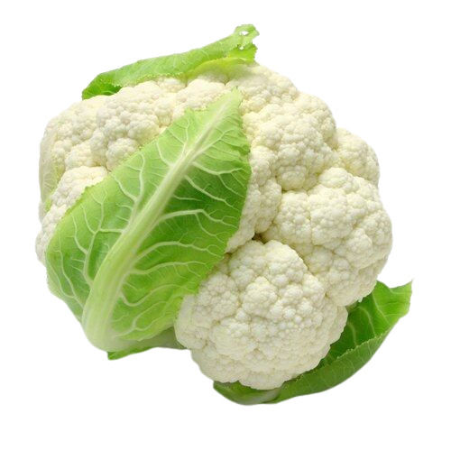 Fresh Cauliflower