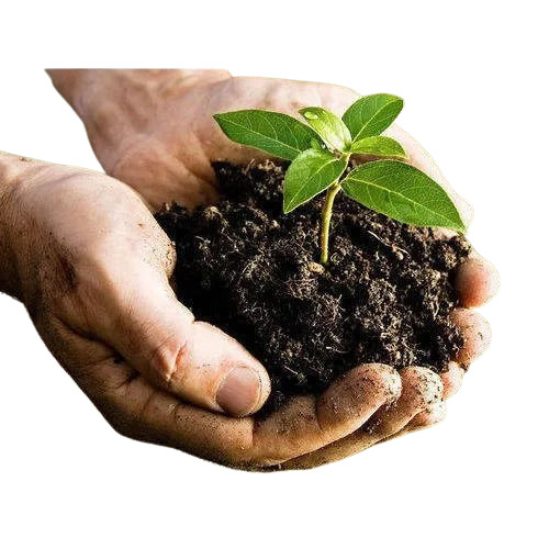 Organic Fertilizer - Chemical Name: Compound Amino Acid