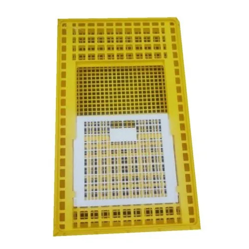 Yellow Transportation Poultry Plastic Crate - Size: Various Sizes Are Available