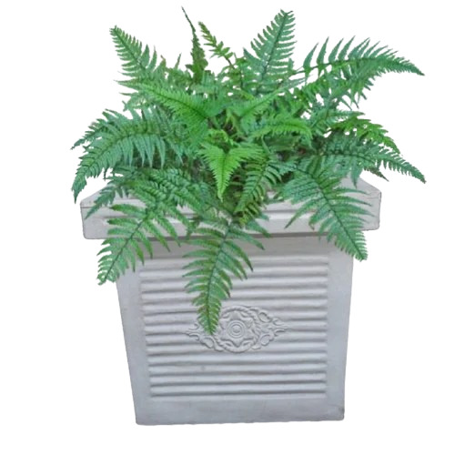 Gray Square Plastic Planter By Sabras Plastic