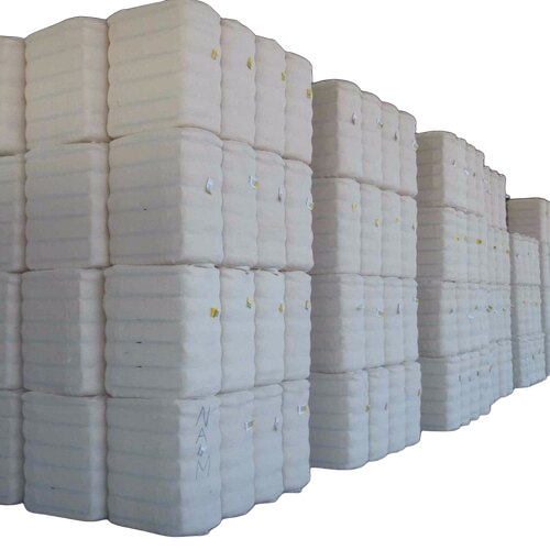 Raw Cotton - Color: White