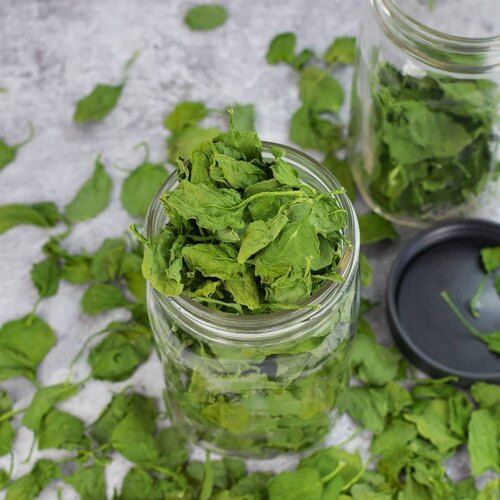 Dehydrated Spinach Leaves