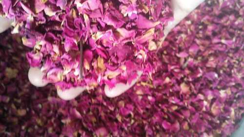 DRY ROSE PETAL