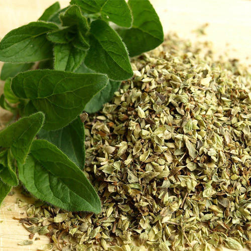 Dried Oregano Leaves