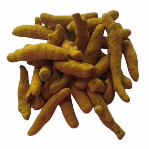 Turmeric Finger - Color: Yellow