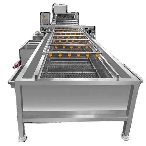 Vegetable Cleaning Machine