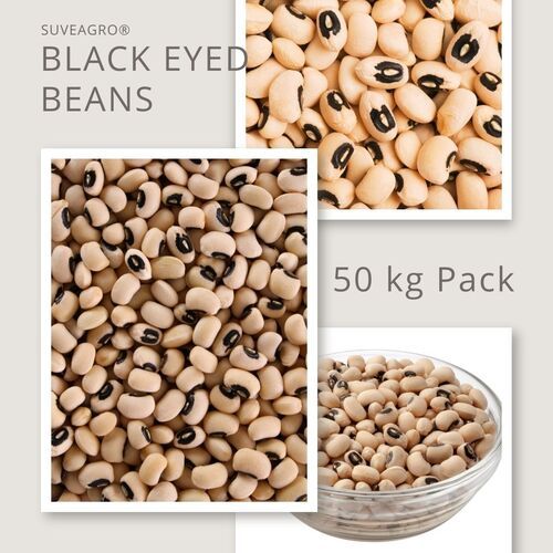 Black Eyed Beans (Cow Pea) - Broken Ratio (%): 0.5%