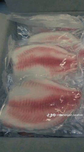 frozen fish fillet tilapia