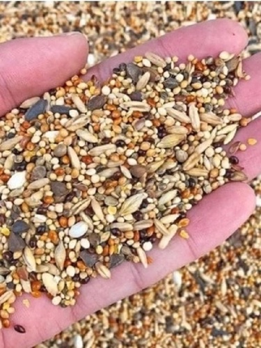 Bird Food - Size: 250G