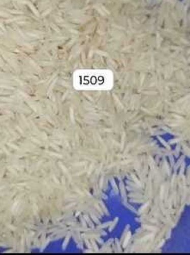 1509 Basmati Rice - Broken (%): 0%