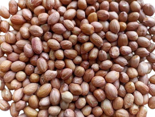 Groundnut Seeds - Natural Dried, Brown, Very Good Grade | 100% Purity, Common Cultivation, 1 Year Shelf Life, Edible Oil Seeds