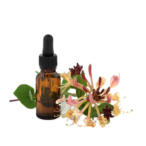 Honeysuckle Essential Oil