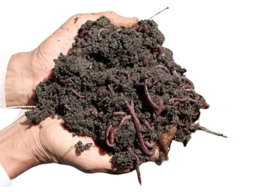 Brown Vermicompost Fertilizer - Application: Agriculture