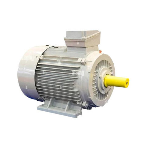 Three Phase Electric Motor - Sealed Type: Packing Seal