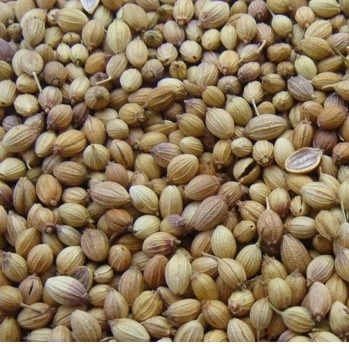 Whole Coriander Seeds - Purity: 100