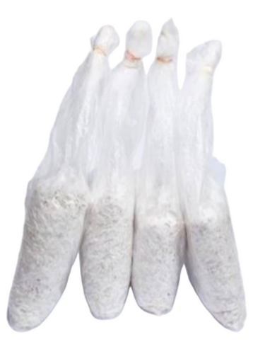 Oyster Mushroom Spawn - Color: White